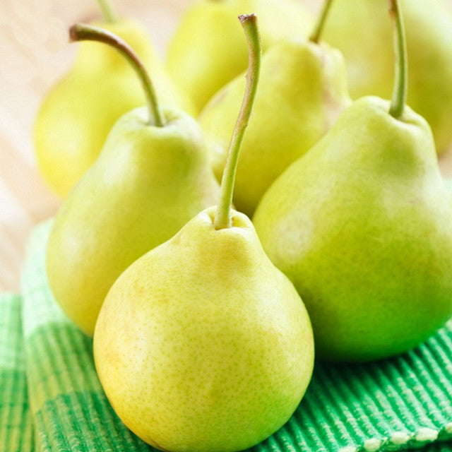 Five or six pears standing next to each other in a group on a green cloth with a white background zoomed in photo of the pears indicating the scent of pear