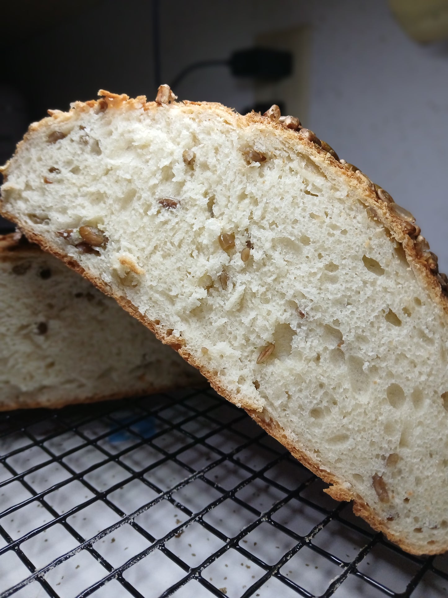Artisan Bread