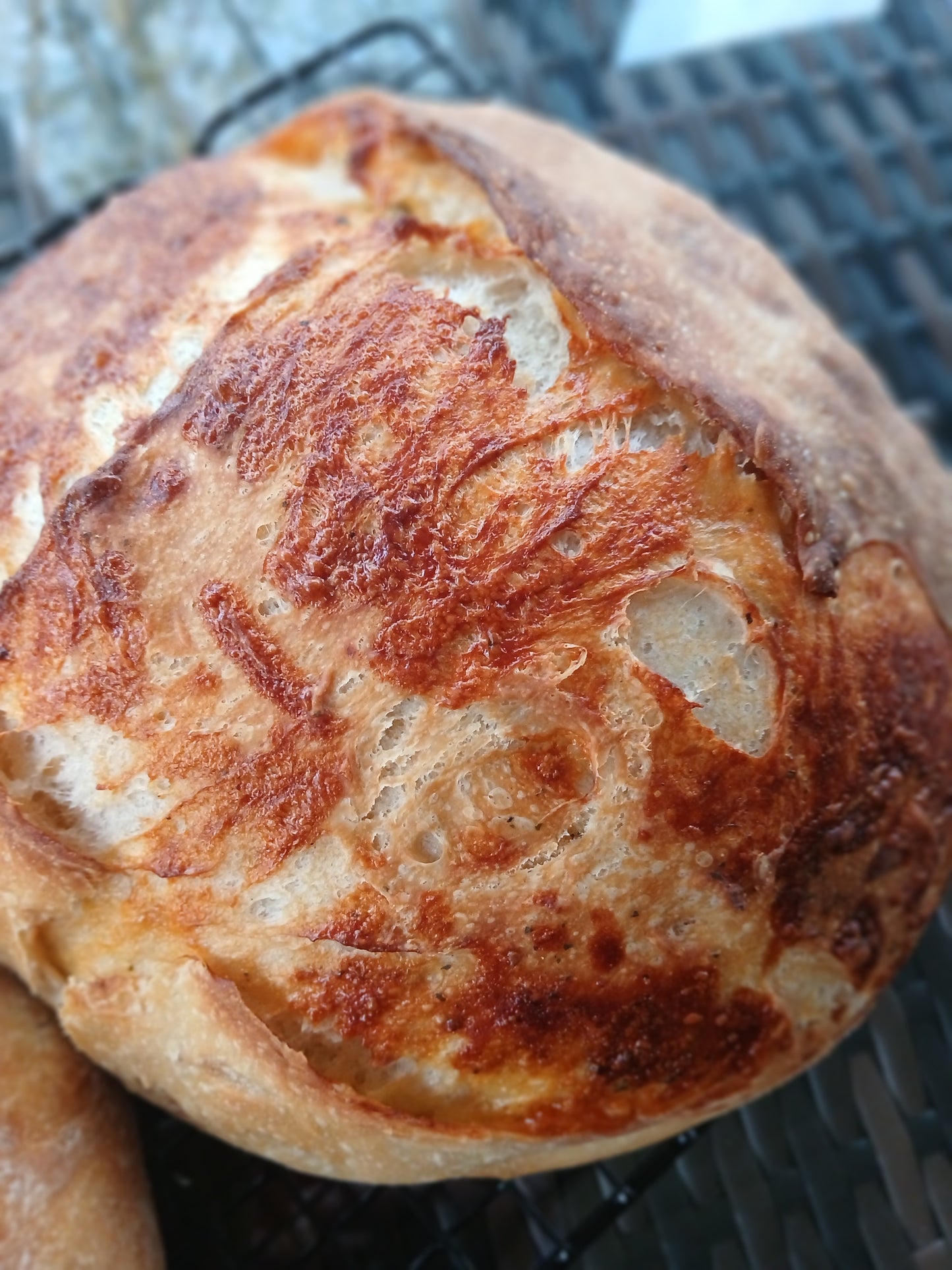 Artisan Bread