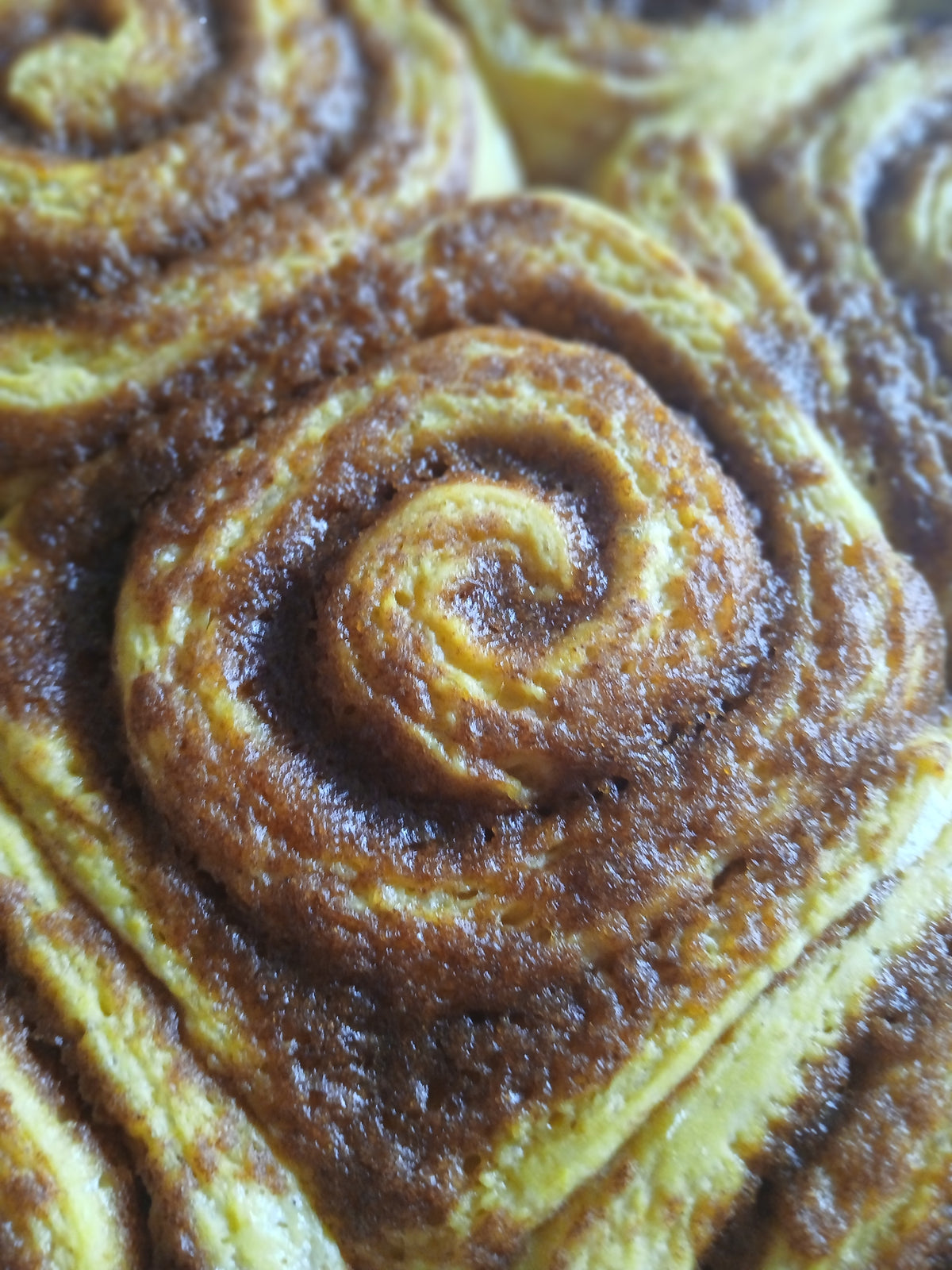 Cinnamon Rolls
