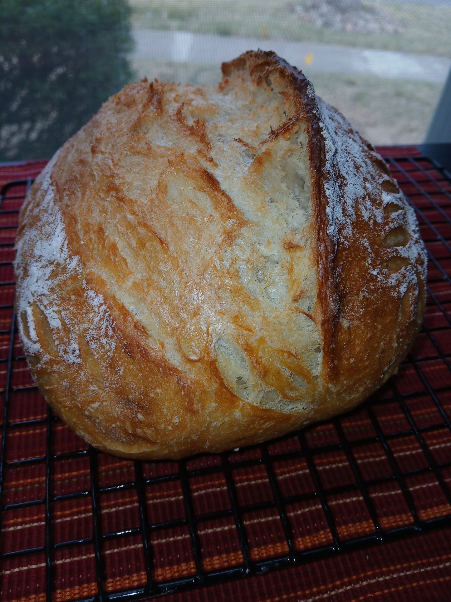 Artisan Bread
