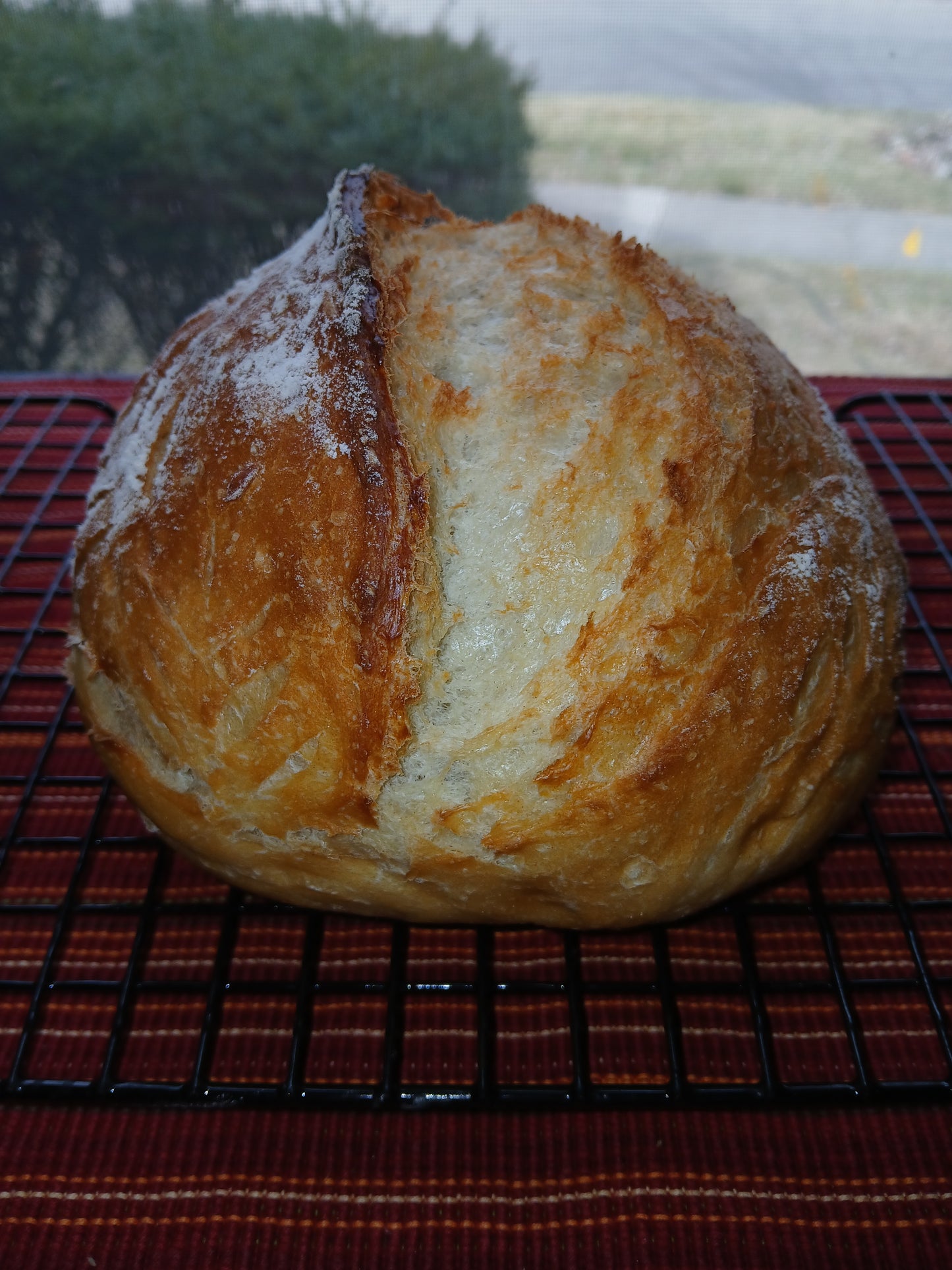 Artisan Bread