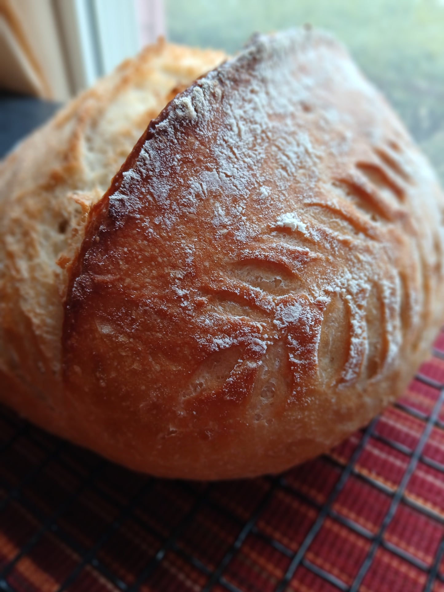 Artisan Bread