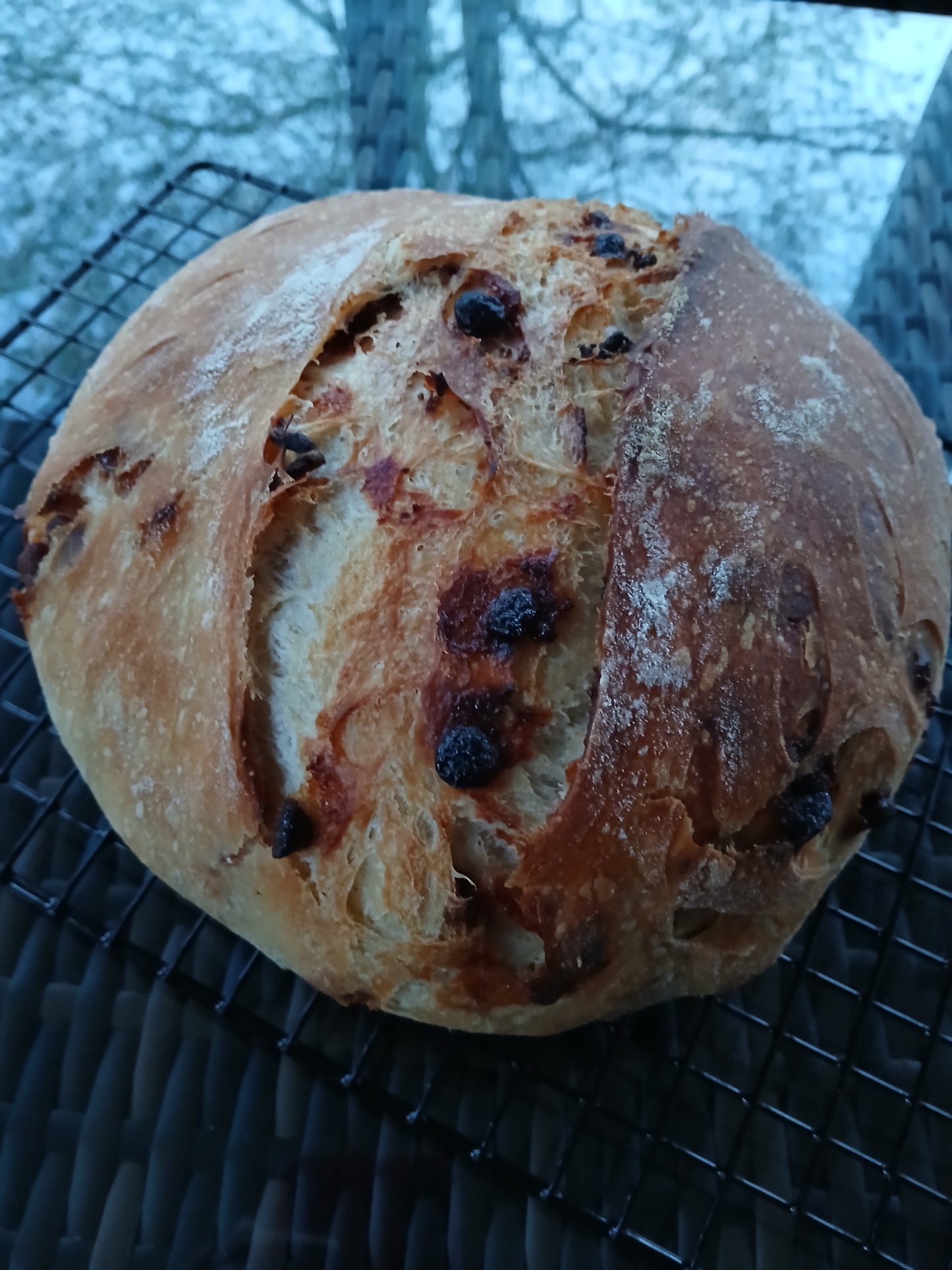 Artisan Bread